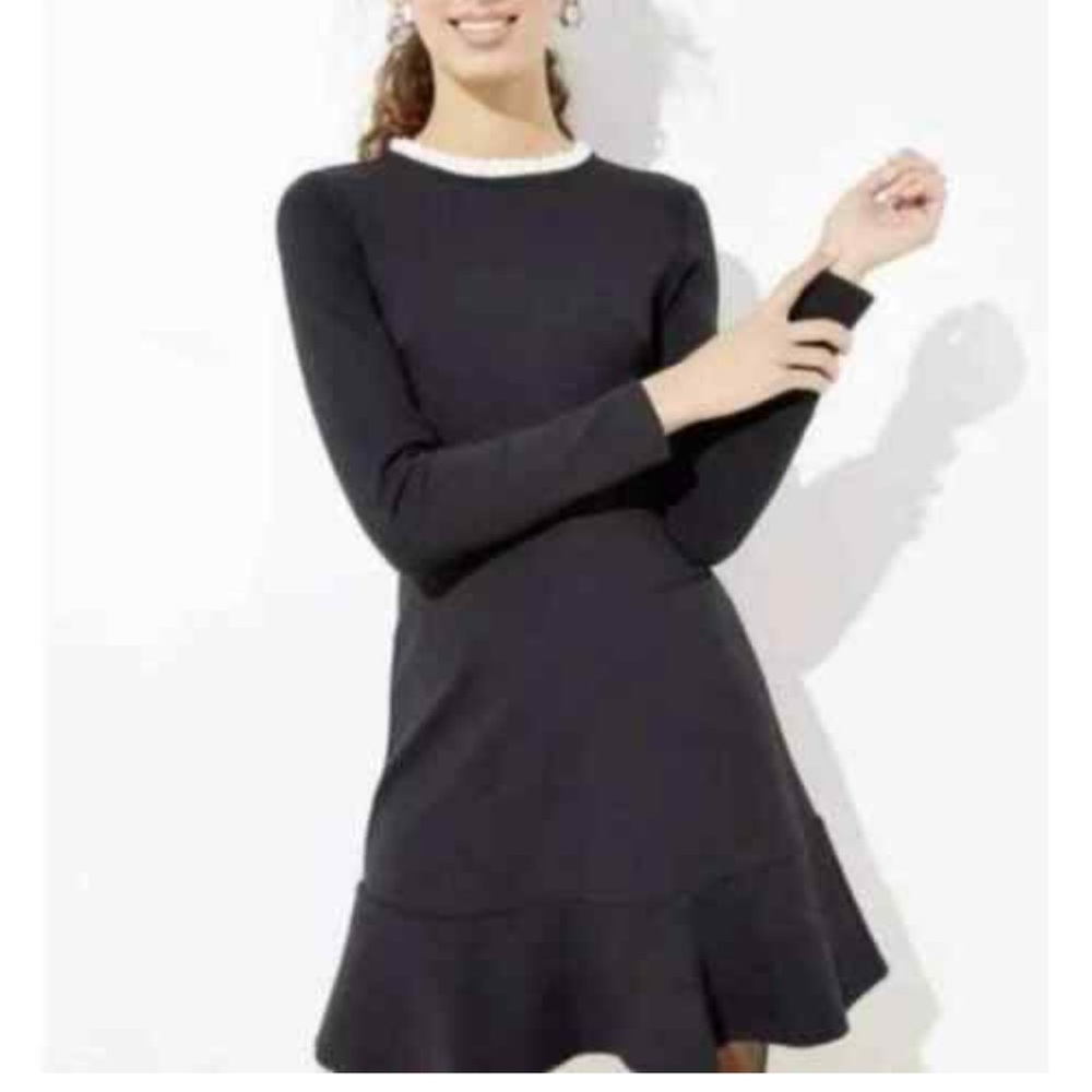 Loft Chic Black sweater Dress with white Ruffle Trim Neckline